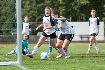 Bild 169 - wBJ VfL Pinneberg - Germania Schnelsen : Ergebnis: 15:1